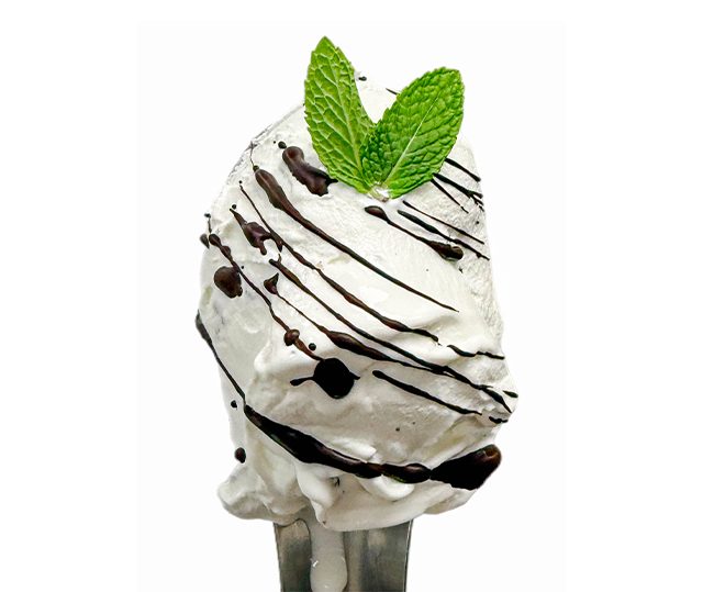 Mint Chocolate Chip.jpg